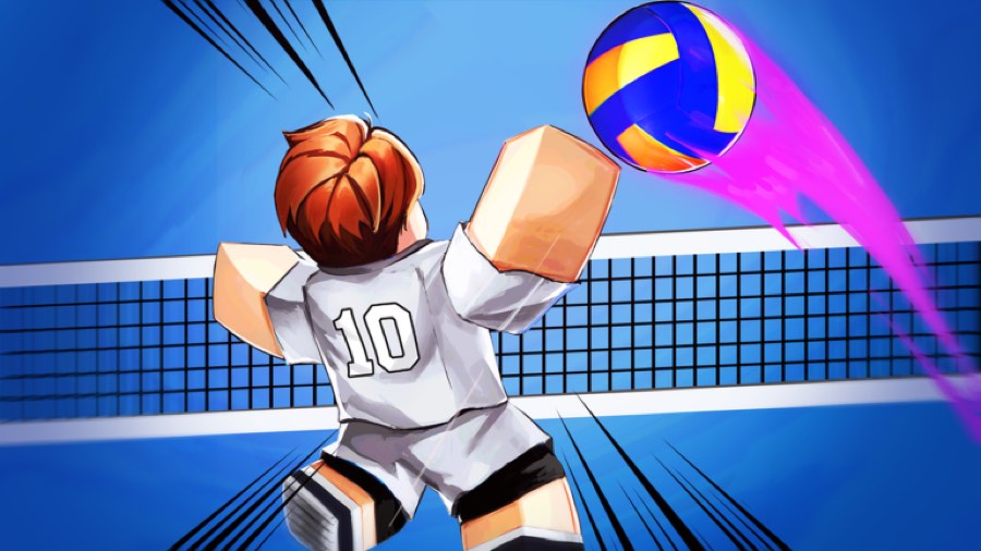 Player in a number 10 jersey receiving the ball at the net